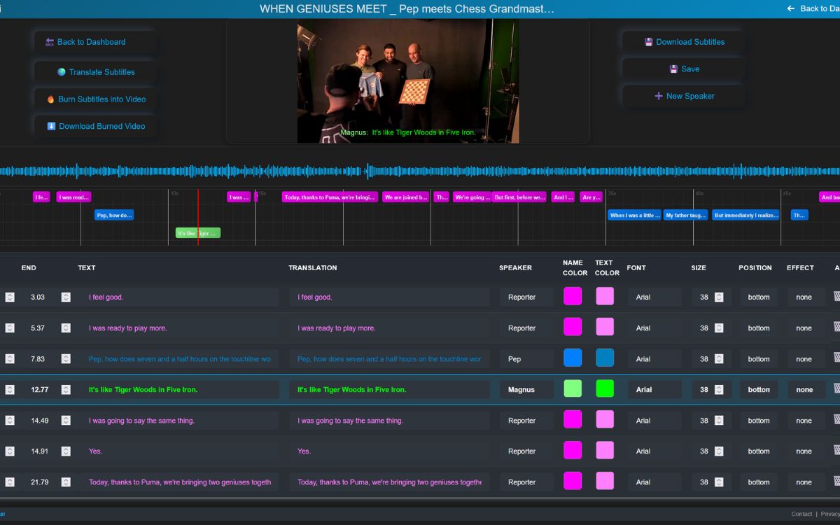 AI subtitle editor for burning subtitles into video with timeline and timing controls in Subvideo.ai
